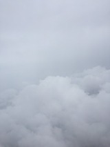 S__35979296