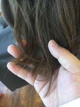 S__18030598