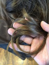 S__20963333