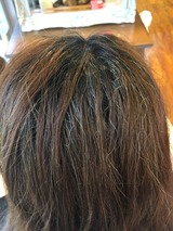 S__18055175