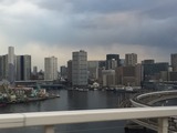 IMG_5554