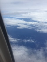 S__35979299