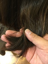 S__21184557