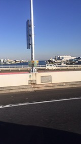 S__39346218