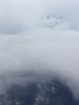 S__35979297