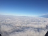 S__37298236