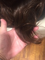 S__48414744