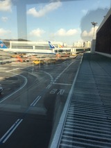 S__38395938