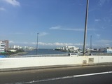 S__36814895