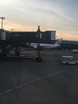 S__36397058