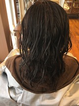 S__17817608
