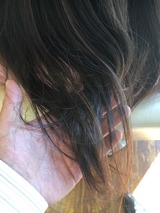 S__18268167