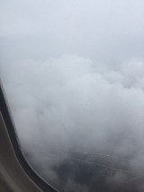 S__35979295
