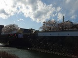 CIMG9676