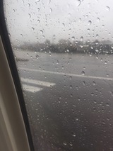 S__35979289