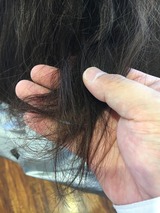 S__17154106