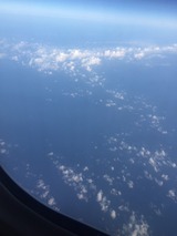 S__35979301