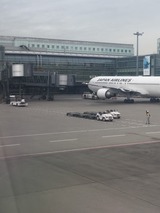 S__37052462