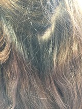 S__17809414