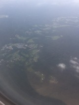 S__35979305