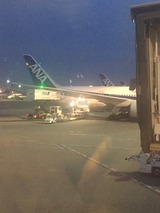 S__36823073
