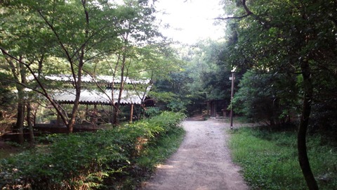 8a82b73c.jpg
