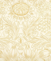 sunflower etch_103