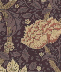 Windrush_03