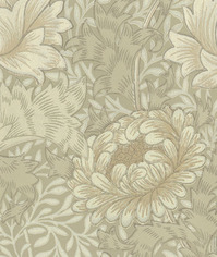 CHRYSANTHEMUM_08