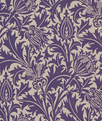Thistle_101