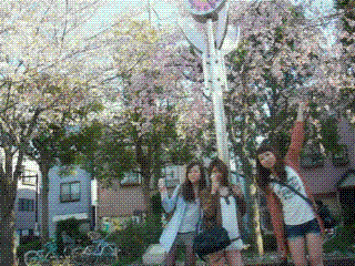 sakura2