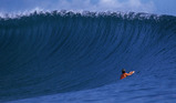 Swell