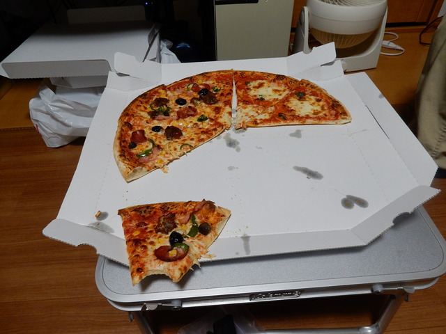 DSCN6539