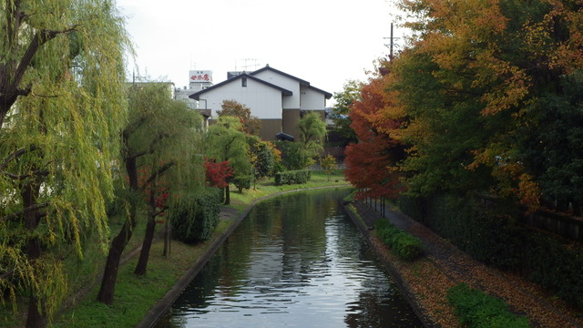 IMGP4320