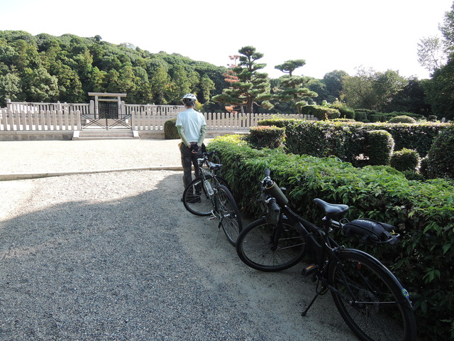 DSCN3344