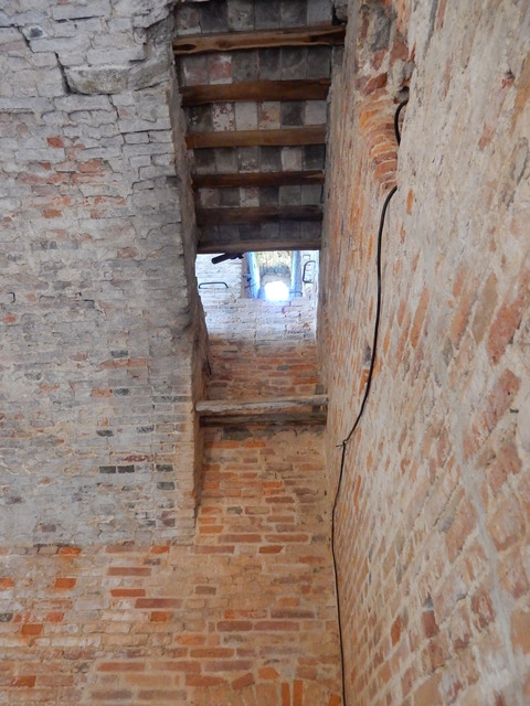 DSCN2456