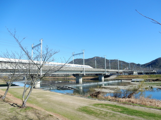 DSCN7023