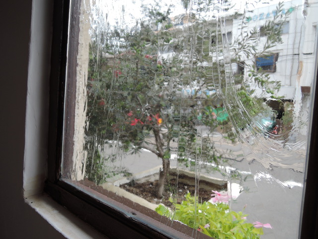 DSCN3365
