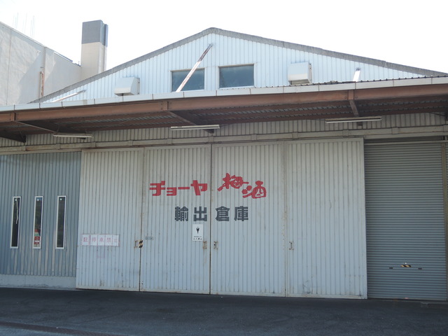 DSCN3288