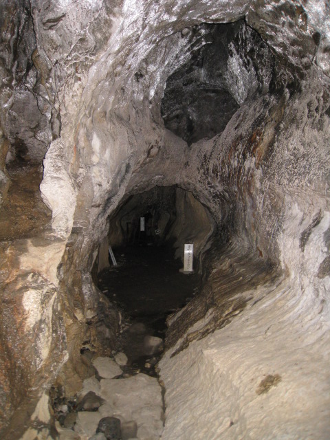 3f1d543e.jpg
