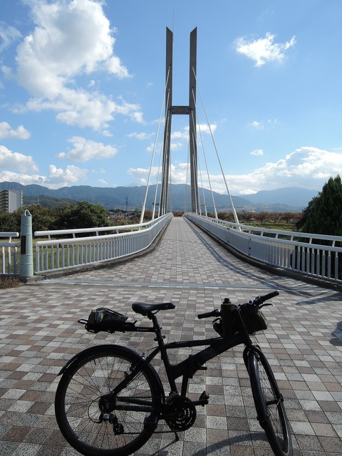 DSCN3575