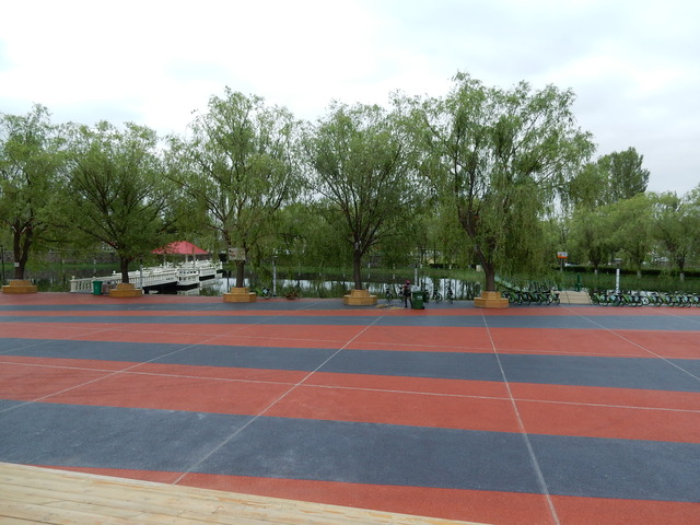 DSCN8811