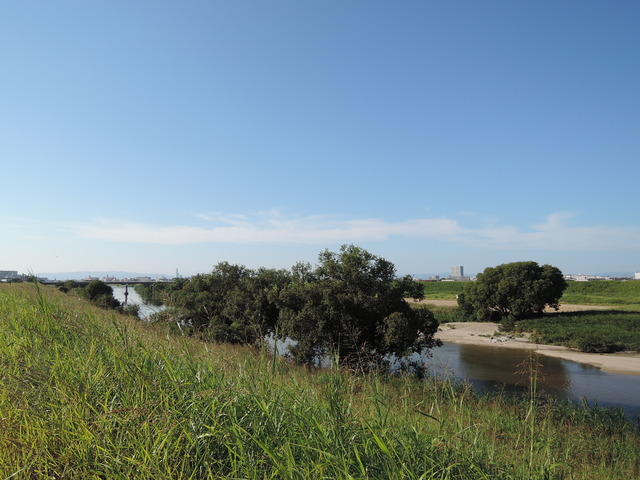 DSCN3351