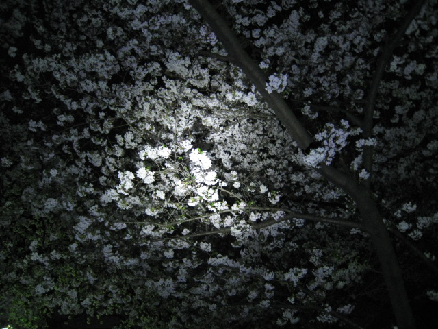 69f3d92e.jpg