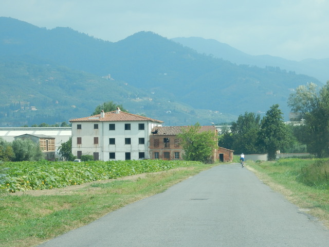 DSCN4467