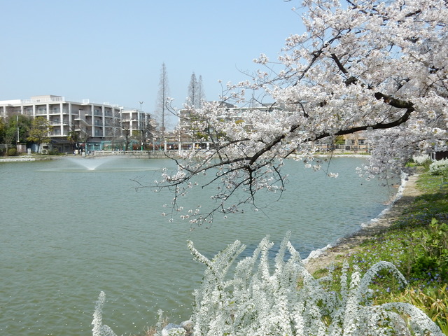 DSCN7922