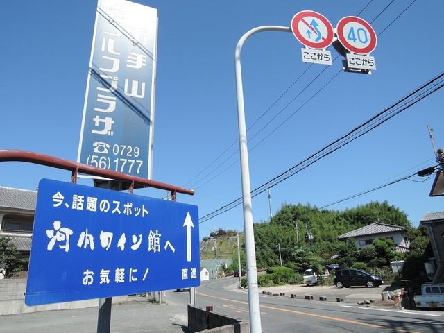 DSCN3289