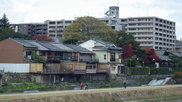 IMGP4425