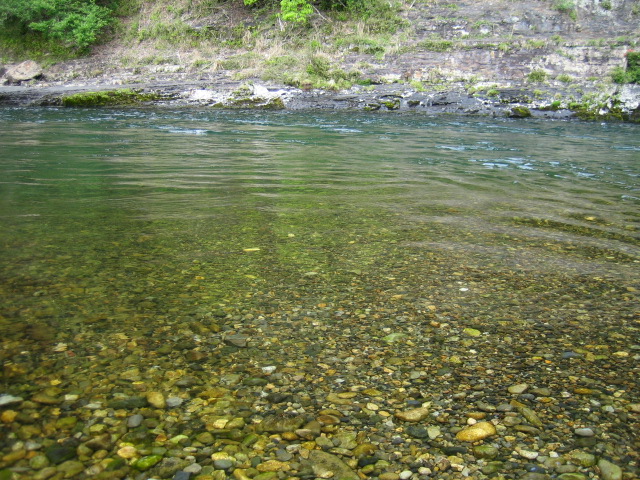 8103a2d4.jpg