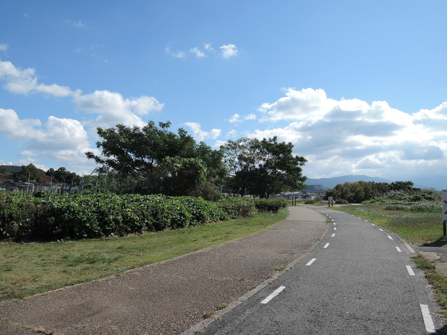 DSCN3558